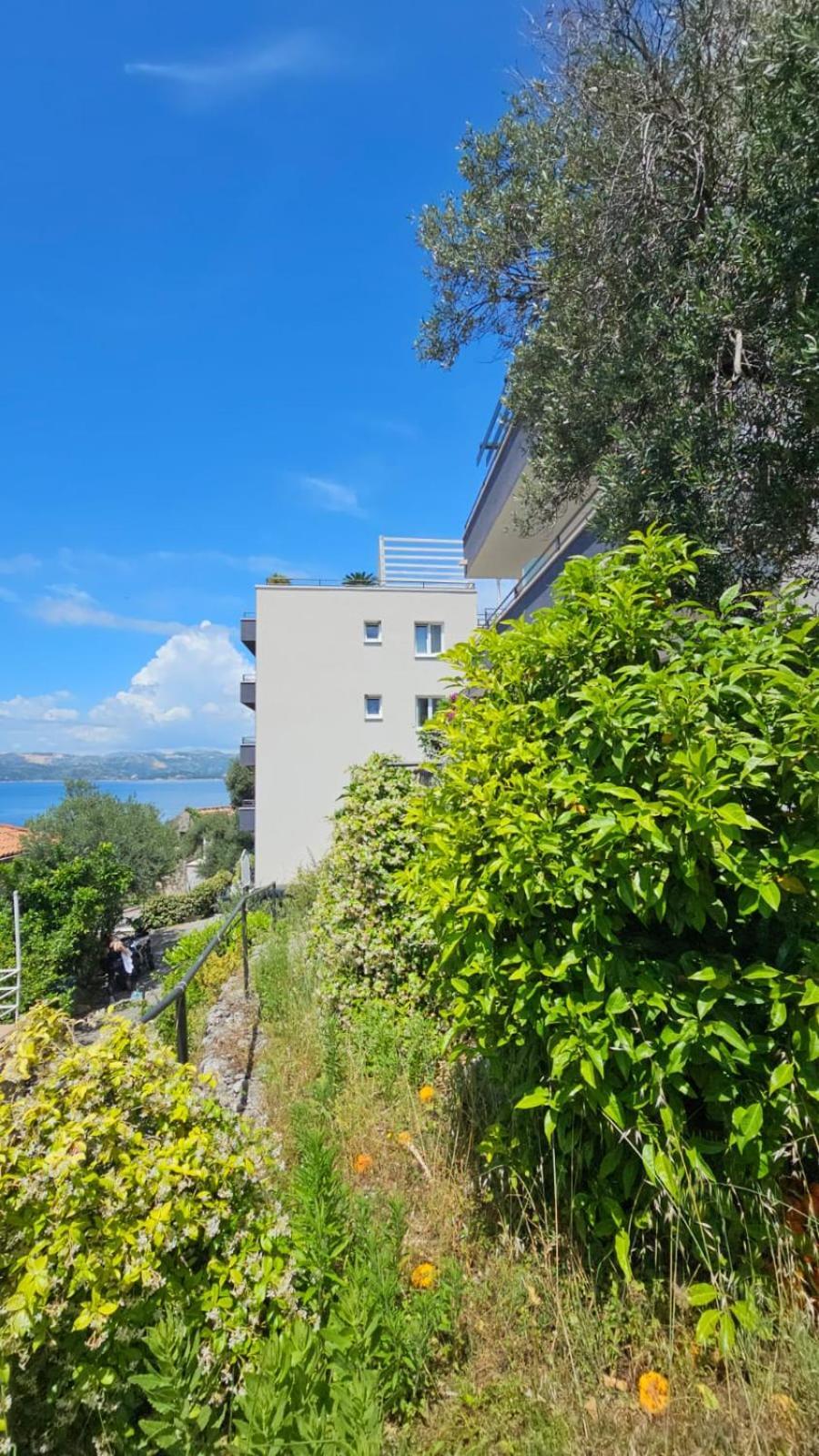 Residence Alpha Apartments Cavtat Dış mekan fotoğraf